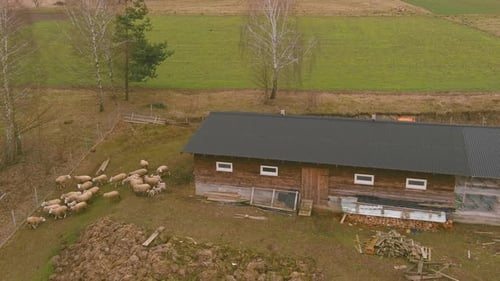 Open Landscape Countryside Tranquility Farm Atmosphere