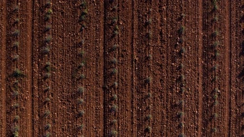 Aerial View of Expansive Agricultural Fields Featuring Plowed Soil and Farming Processes