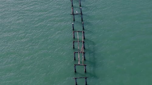 Aerial View White Egret Perched On Wooden Pier Remnants