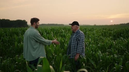 Farmers Shake Hands in Cornfield at Sunset