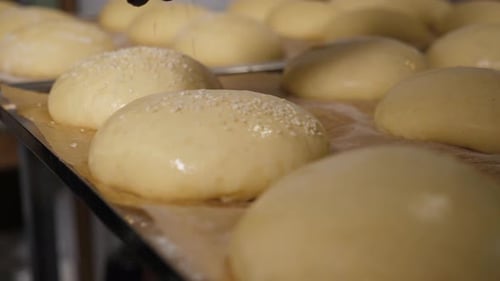Sprinkling Seeds on Hamburger Buns in Kitchen