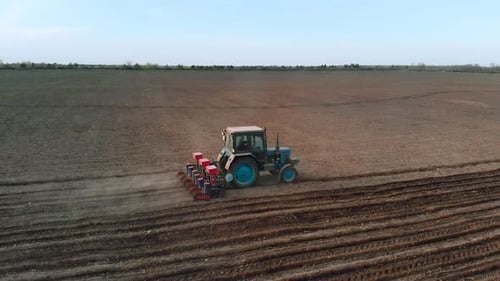 Aerial View on Farmer on Tractor with Six Row Seeder Sow Sunflower in Field for Vegetable Oil