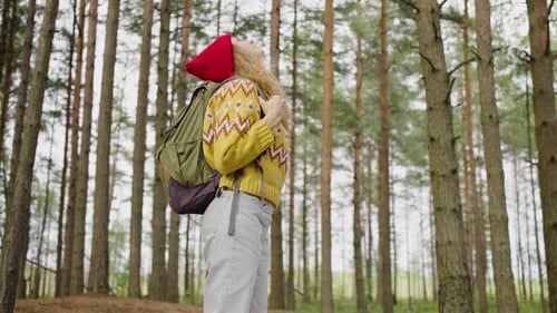 Young Woman Stands in Autumn Forest Looking Up at Tall Trees