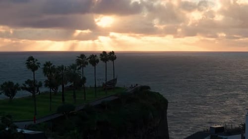 Sunset Over Ocean Cliffside, Palm Trees, Sun Rays