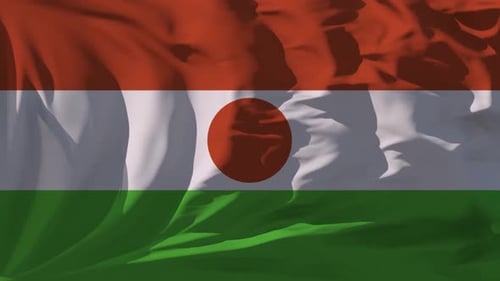 Seamless Looping Realistic Waving Flag Animation