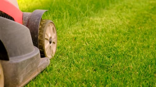 A Lawn Mower Mows the Lawn Selective Focus