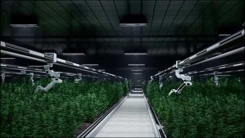 La serre avec des agriculteurs robotiques intelligents. Concept d'agriculteurs robotiques intelligents
