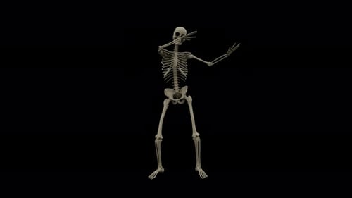 Skeleton Dancing Long Loop with Alpha Channel 8