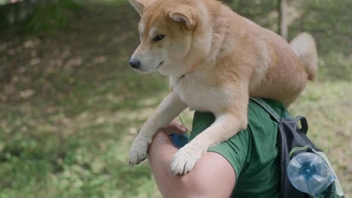 Dog Riding on Person's Shoulders Outdoors