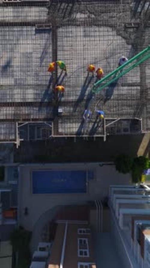 Vertical Video of Engineers Reviewing Plans While Workers Build Foundations and a Crane Moves
