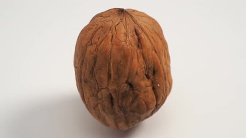 Walnut Rotating in Detailed Close Up Shot