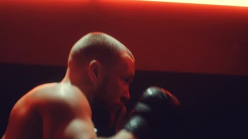 Fight Training