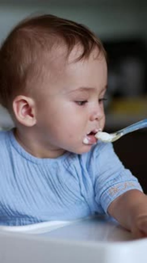 Baby Eating Food From Spoon in Highchair Indoors