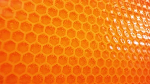 Honeycombs and Honey