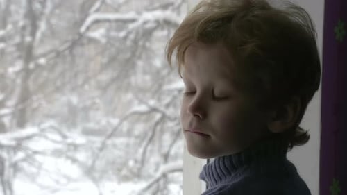 The Boy Looks At Snow