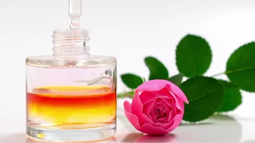 Blumenparfüm oder Öl-Essenz mit Rosenblüten