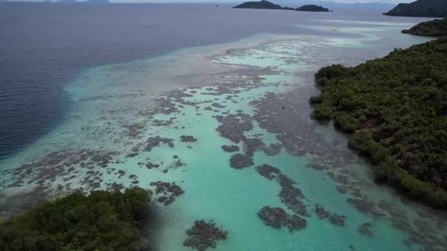 Luftaufnahme von kristallklarem Wasser und lebendigen Korallenriffen