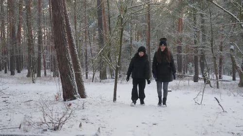 Mother and son strolling through a scenic, snow-covered forest landscape.