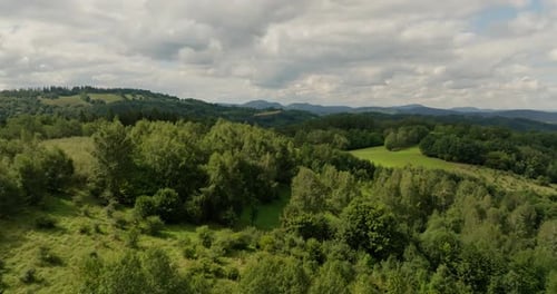 Aerial View Of Green Forest Landscape