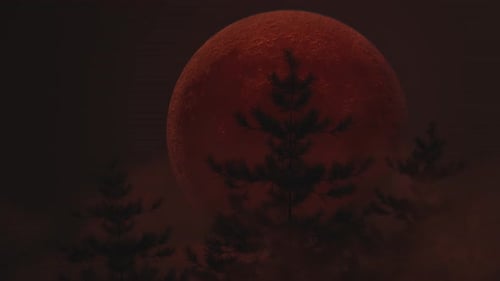 Moving Pine Trees In Front Of Big Red Moon