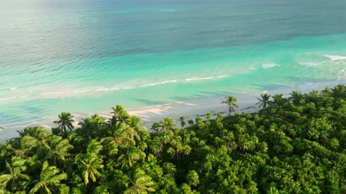 Vistas aéreas deslumbrantes da praia do reservatório caribenho de Tulum e do Ocean Horizon