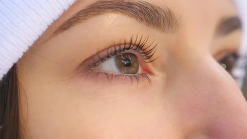 Detail View of Woman Face with Beautiful Brown Eyes Attractive Girl Standing in Winter Forest and