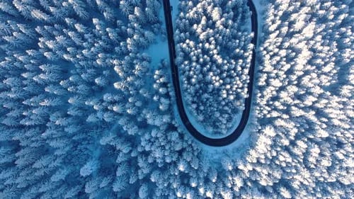 Top down View Of Mountain Road And Coniferous Forest Covered In Snow During Winter - aerial drone sh