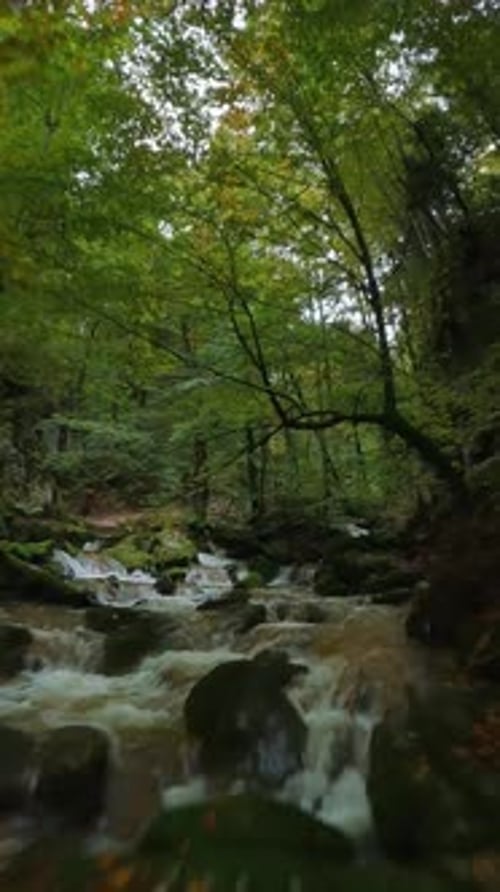 Vol rapide et fluide au-dessus d'une rivière de montagne