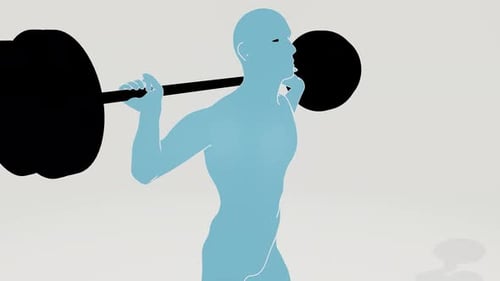 Fitness Animation of Male Squat Exercise