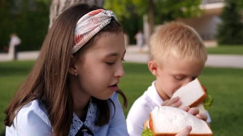 School Children Sitting in the Park on the Grass and Holding Large Sandwiches