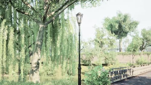 Quiet Afternoon in a Serene Park with Trees and a Vintage Lamppost