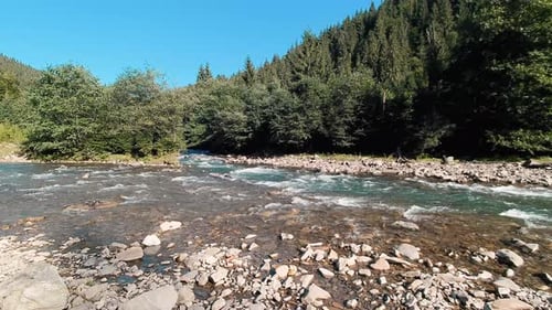 Beautiful Stream of a Small Mountain River in the Carpathians Mountains