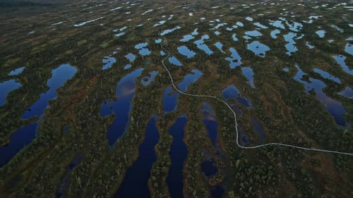 Scenic Aerial View of Bog and Ponds