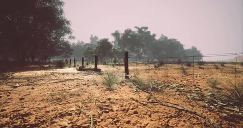Arid Landscape with Sparse Trees and Barbed Wire Fence