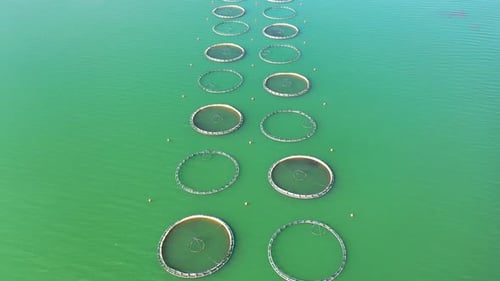 Aerial View Of Fish Ponds In The Dam Lake 3