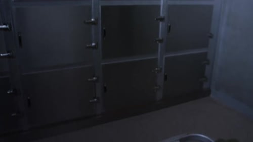 Woman Covered on Gurney Inside Medical Facility