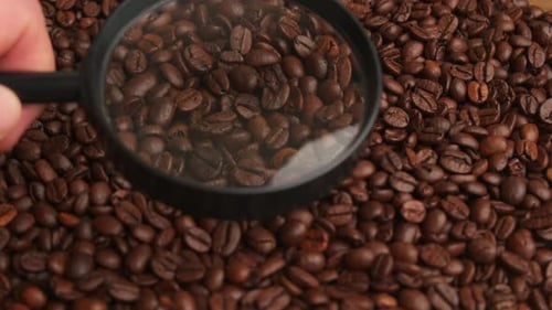 Roasted Coffee Beans Under a Magnifying Glass Close-up