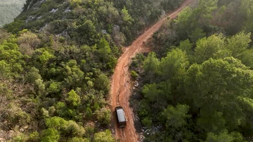 Aerial Tracking Shot Real Time of Car Riding Through Lush Green Trees Growing in Woods on Sunny Day