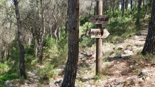 Fork in the trails at the climb to the castle in Alcalá de Chivert, Spain