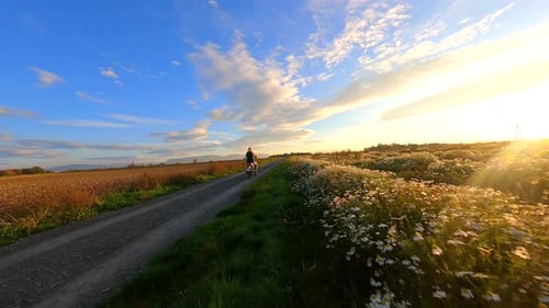 Woman Riding a Motorcycle on a Country Road in Autumn
