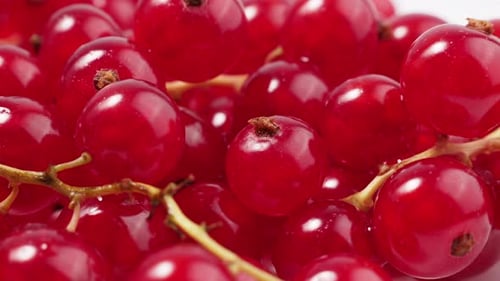 Red Currants Filling Frame Close Up
