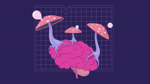 Mushrooms fly agaric growing on brain line 2D animation