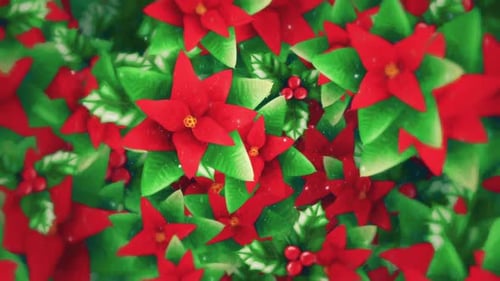 Poinsettia Flowers and Holly Christmas Watercolour Background