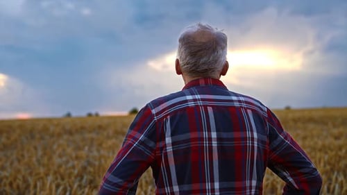 Grey-haired man in checkered shirt stands in the field.
