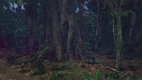 Slow Camera Pan Through Dark Forest Landscape