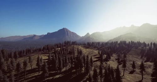 Majestic Mountain Landscape with Lush Forests Under a Clear Blue Sky