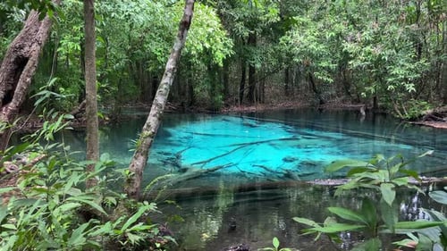 Amazing natural blue pool in the tropical jungle of Krabi, Thailand