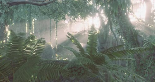 Sunlight Filters Through Dense Foliage in a Magical Forest at Dawn