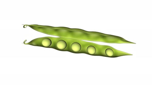 Green pea pods with round seeds inside them