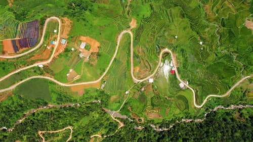 Landscape, field with agriculture and village from drone, road and rice farming environment